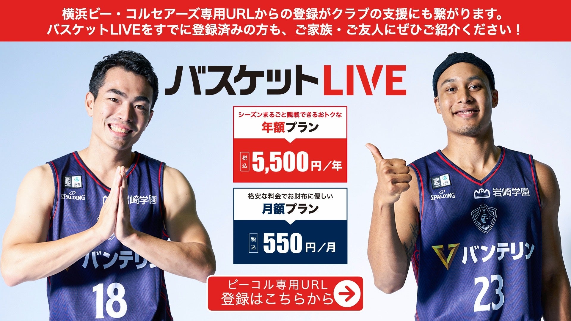 ビーコル見るならバスケットLIVE！