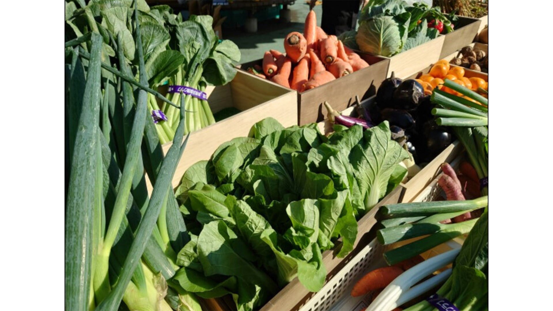 青葉区で収穫された規格外野菜