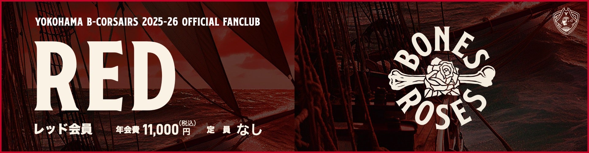 RED会員