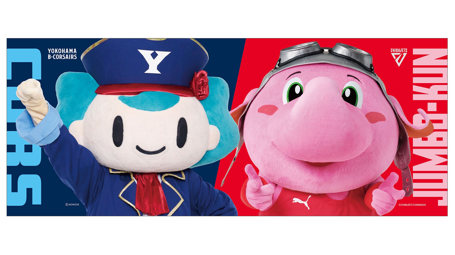 フェイスタオル