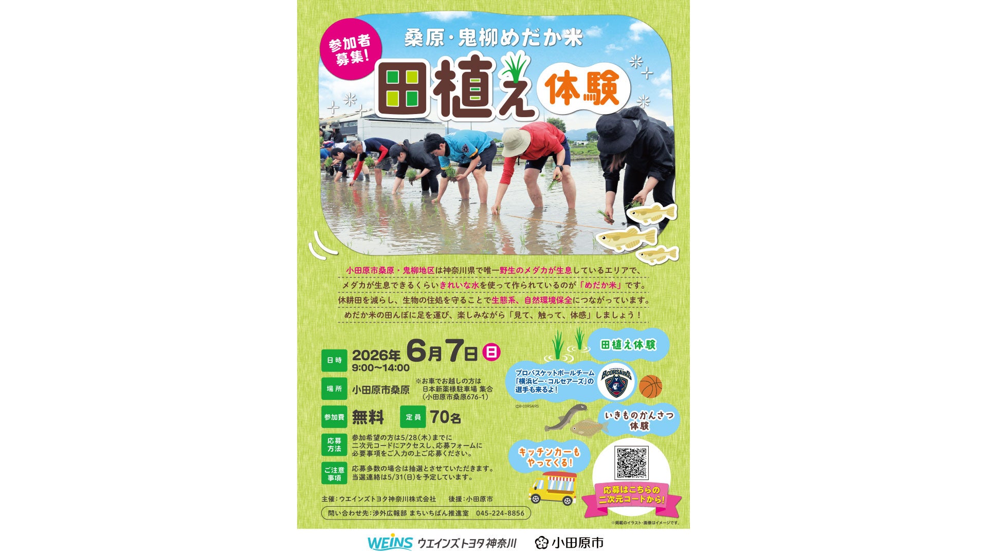 桑原・鬼柳めだか米 田植え体験チラシ