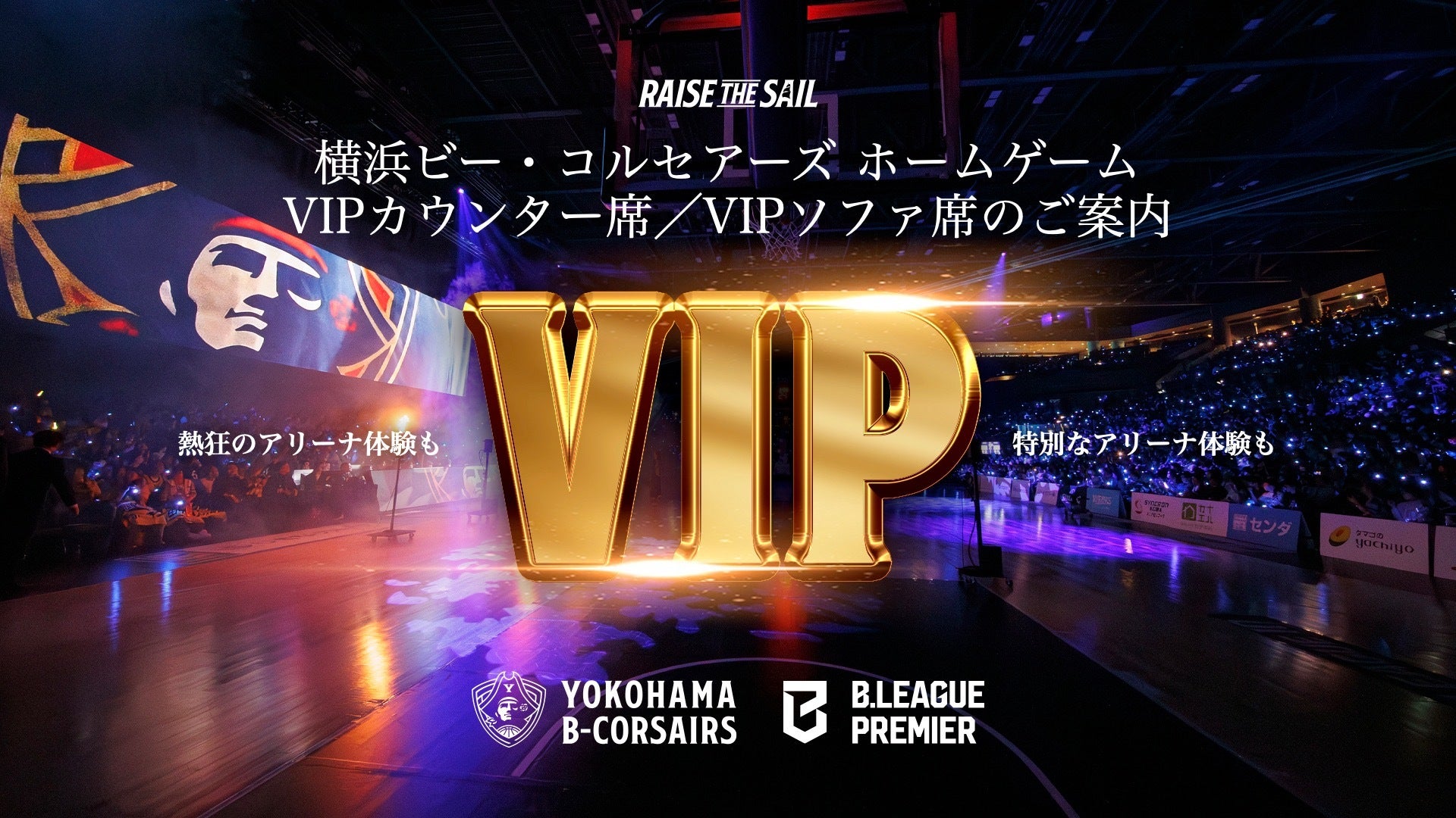 VIPカウンター席/VIPソファ席